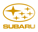 Принт Subaru logo вариант 3