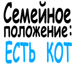 Принт Есть кот вариант 1