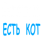 Принт Есть кот вариант 2