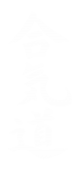 Принт Айкидо logo вариант 1