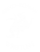 Принт Greco-roman wrestling 2 вариант 1