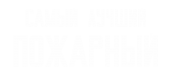 Принт Самый лучший пожарный вариант 1