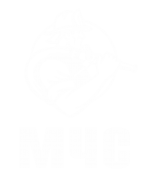 Принт МЧС вариант 2