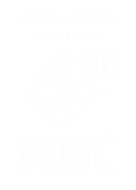 Принт МНС 101 вариант 2