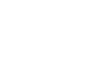 Принт Девушка охраняется Сашей вариант 2