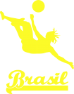 Принт Brasil вариант 2