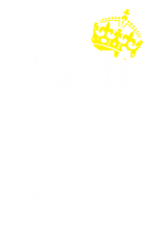 Принт Настя всегда права вариант 1