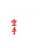 Принт Karate man вариант 1