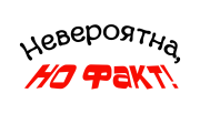 Принт Невероятна, но факт вариант 1
