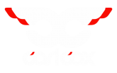 Принт Carl cox logo вариант 1
