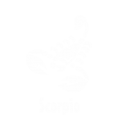 Принт Скорпион gold вариант 3