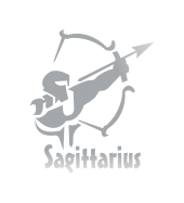 Принт Стрелец gold вариант 2