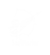 Принт Стрелец gold вариант 3