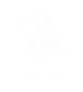 Принт Козерог gold вариант 4