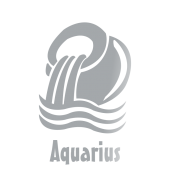 Принт Водолей gold вариант 2