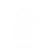 Принт Водолей gold вариант 4