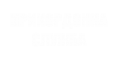Принт Прикордонна (напис ззаду) вариант 1