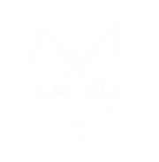 Принт Мордочка котика вариант 1