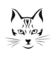 Принт Мордочка котика вариант 2
