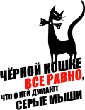 Принт Черная кошечка вариант 1