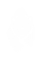 Принт Атакующий медведь вариант 1