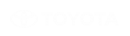 Принт Toyota вариант 1