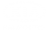 Принт Kia Motors logo вариант 3