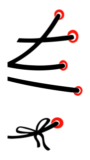 Принт Шнуровка (ж) вариант 1