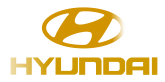 Принт Hyundai вариант 2