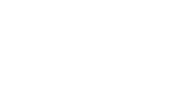 Принт Hyundai вариант 4