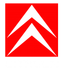 Принт Citroen вариант 2