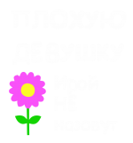 Принт Для Иры вариант 1