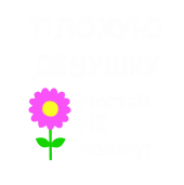 Принт Для Насти вариант 1