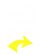 Принт Так выглядит смысл жизни вариант 2