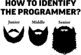Принт The programmer вариант 2