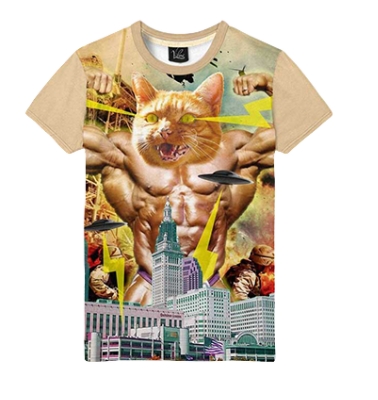 Мускулистый кот