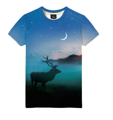 Олень и ночь