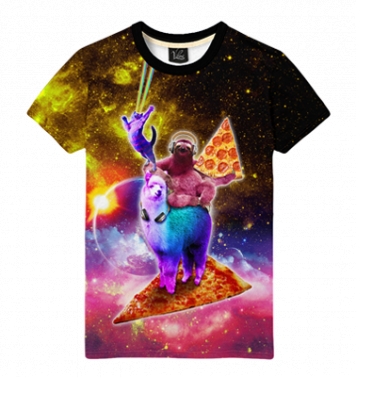 Ленивец на ламе