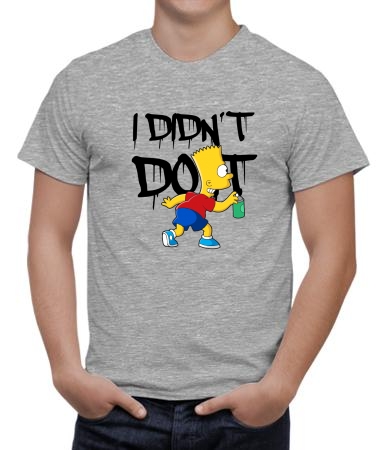 I didn't do it