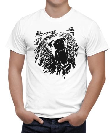 Angry bear