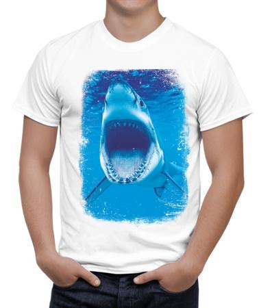 Акула на охоте