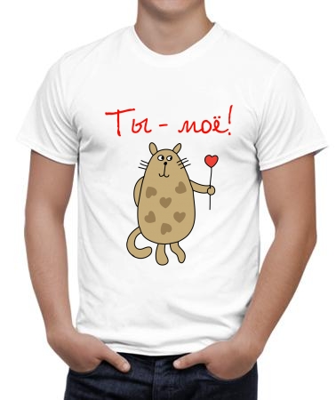 Ты мое (кот)