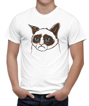 Грустный кот