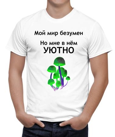 Мой мир безумен