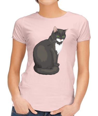 Cat 2