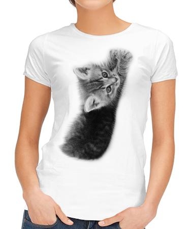 Потягивающийся котенок