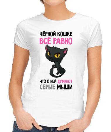 Кошке всё равно