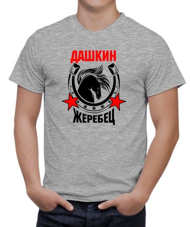 Дашкин жеребец