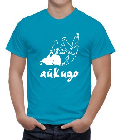 Айкидо fight