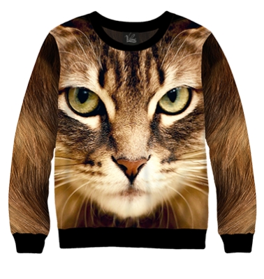 Свитшот Кот